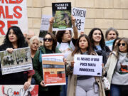 Unes 200 persones protesten a Barcelona contra la “massacre” de senglars a Collserola arran de la pesta porcina