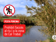 La Generalitat prohíbe l’accés al riu i àrea de Cal Trabal per prevenir la pesta porcina
