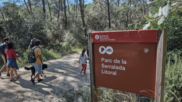 noticia_1782220529.jpg