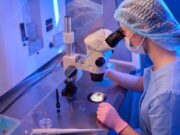 Els antioxidants afavoreixen la maduració dels ovòcits en la FIV