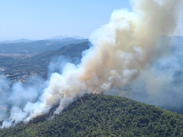noticia_1783355495.jpg