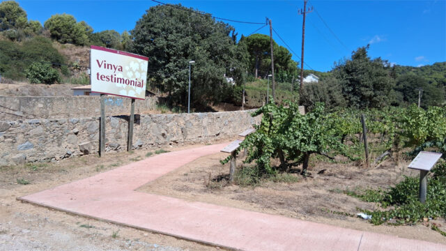 noticia_1789564563.jpg