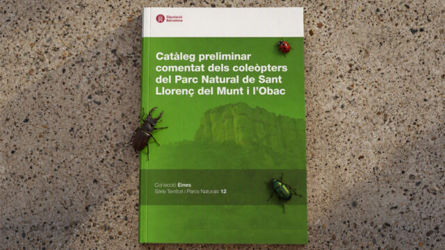 noticia_1793110481.jpg